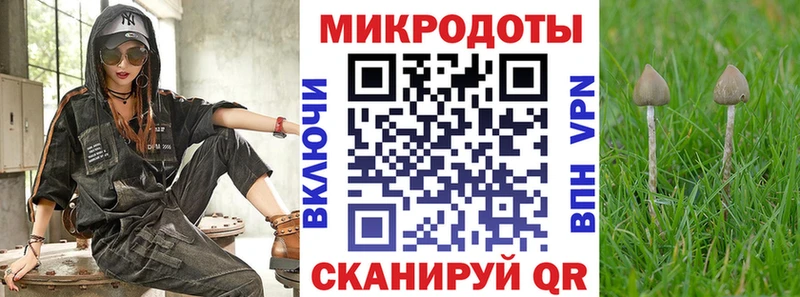 дарнет шоп Дрезна Галлюциногенные грибы GOLDEN TEACHER